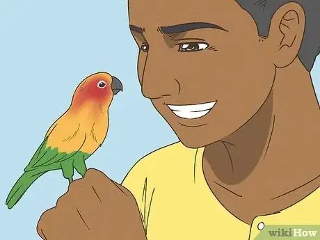 Image titled Teach a Conure to Talk Step 9