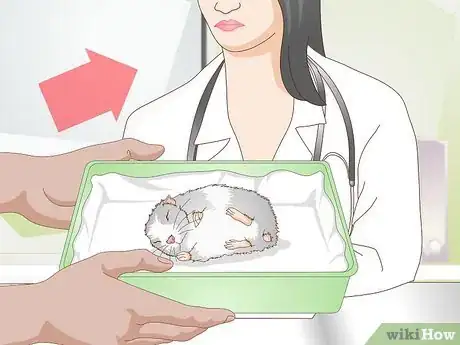 Image titled Get a Hamster to Sleep Step 16