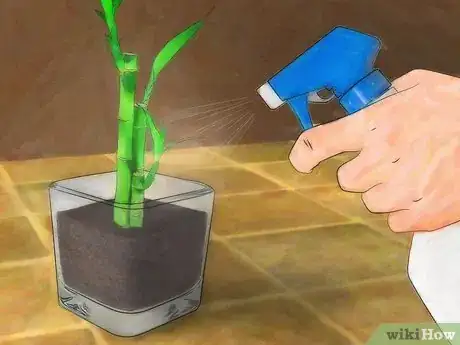 Image titled Grow Lucky Bamboo Step 7