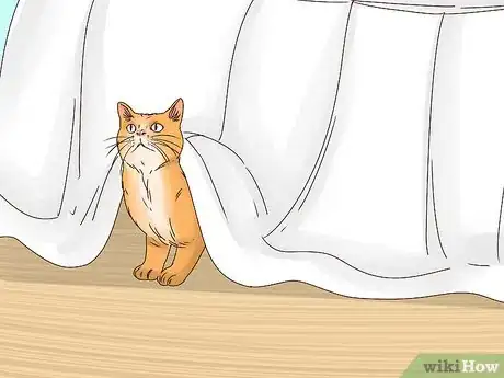 Image titled Get Your Cat to Sleep With You Step 5