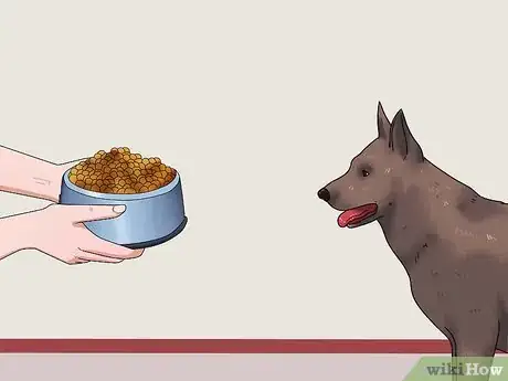 Image titled Get Your Dog to Swallow a Pill Step 3