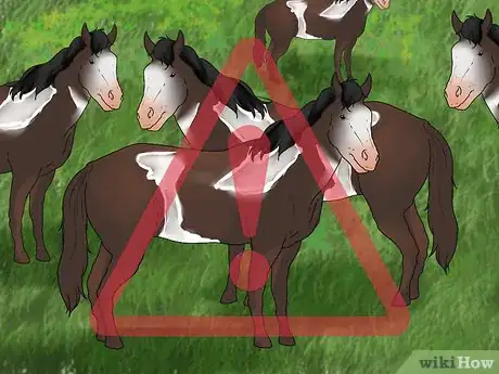 Image titled Be Safe Around Horses Step 19