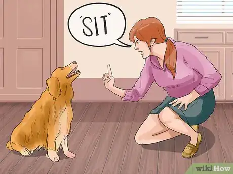 Image titled Make a Golden Retriever Stop Barking Step 2