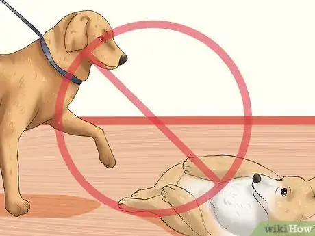 Image titled Get Rid of a Dog's Whipworms Step 6