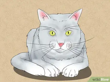 Image titled Draw a Cat Step 15