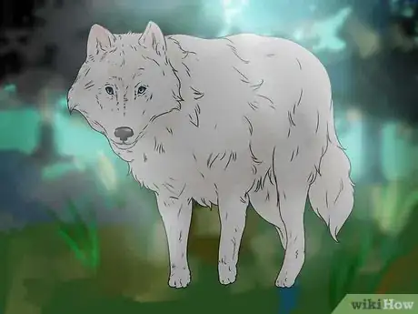 Image titled Own a Pet Wolf Step 4