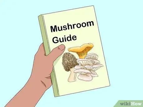 Image titled Identify Edible Mushrooms Step 12