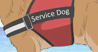 Catch a Fake Service Dog