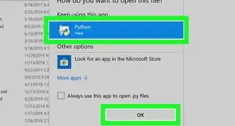 Open a Python File