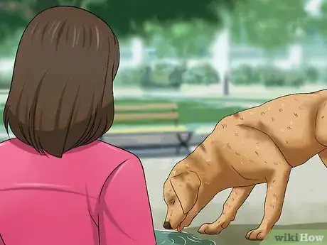 Image titled Determine if a Dog Is Dehydrated Step 1