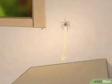 Image titled Get Spiders Out of Your House Without Killing Them Step 3