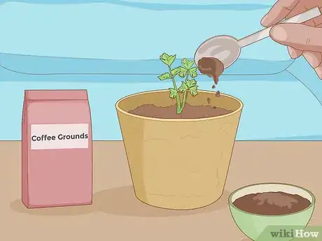 Image titled Grow Plants Faster Step 15