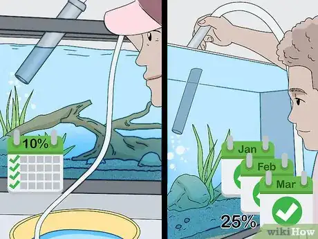 Image titled Lower Ammonia Levels in Your Fish Tank Step 9