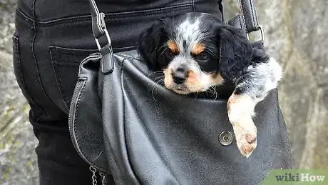 Image titled Carry a Puppy Step 13