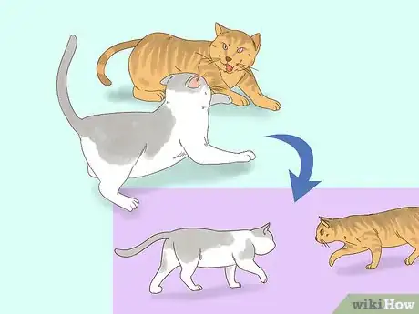 Image titled Know if Cats Are Playing or Fighting Step 8