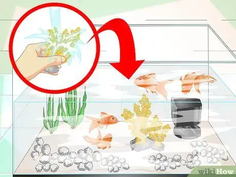 Image titled Keep Aquarium Water Clear Step 13