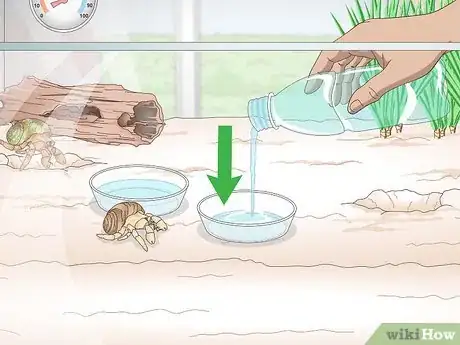 Image titled Maintain Humidity in a Pet Hermit Crab Habitat Step 7