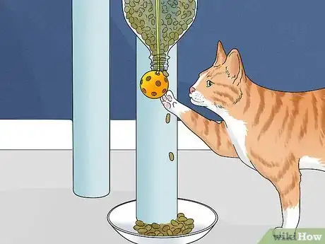 Image titled Make a Homemade Puzzle Feeder for a Cat Step 12