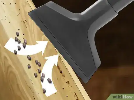 Image titled Get Rid Of Roaches In an Apartment Step 10