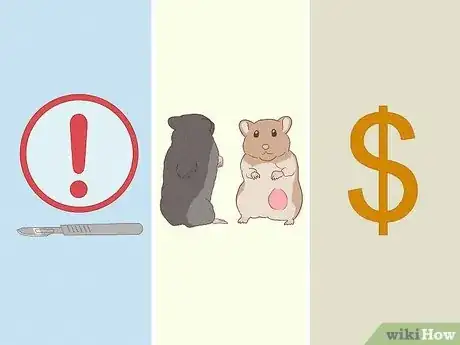 Image titled Treat Tumors in Hamsters Step 3