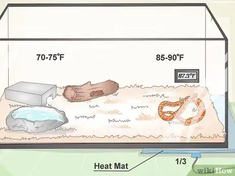 Image titled Care for Baby Cornsnakes Step 14