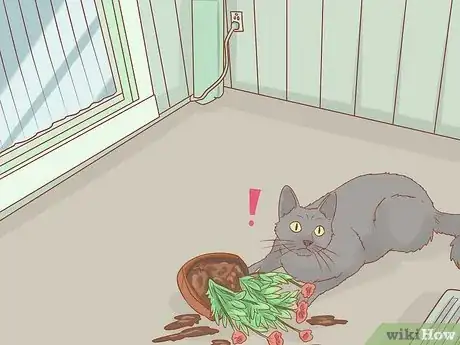 Image titled Help an Indoor Cat Being Tormented by an Outdoor Cat Step 6