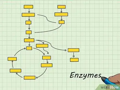 Image titled Study the Basics of Biochemistry Step 12