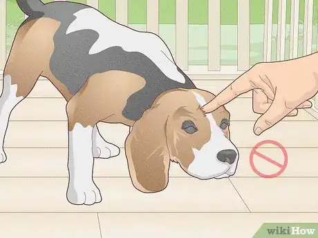 Image titled Stop a Dog's Unwanted Behavior Step 5