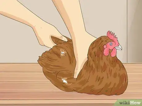 Image titled Hypnotize a Chicken Step 1