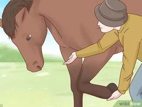 Image titled Take Care of Your Horse Step 21