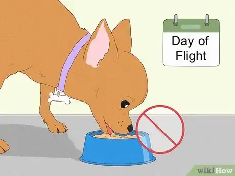 Image titled Prepare Your Dog for a Flight in Cabin Step 10