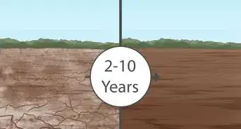 Reduce Salinity in Soil