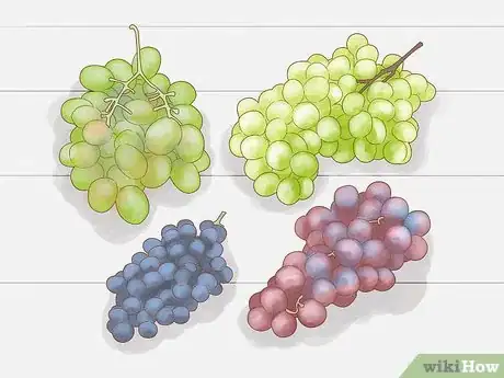 Image titled Grow Grapes from Seeds Step 1