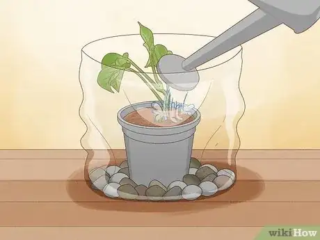 Image titled Propagate Your Plants Step 12