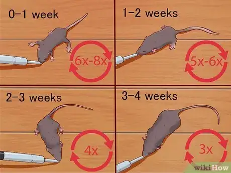 Image titled Care for Baby Mice Step 7