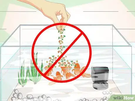 Image titled Keep Aquarium Water Clear Step 12