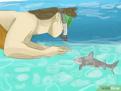 Image titled Avoid Sharks Step 10