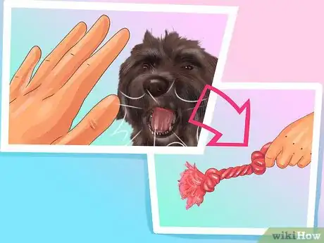 Image titled Care for a Miniature Schnauzer Puppy Step 20