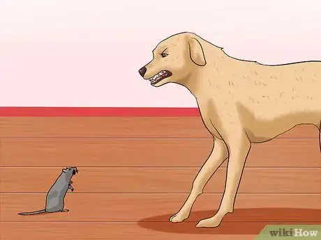 Image titled Make a Dog Stop Biting Step 19