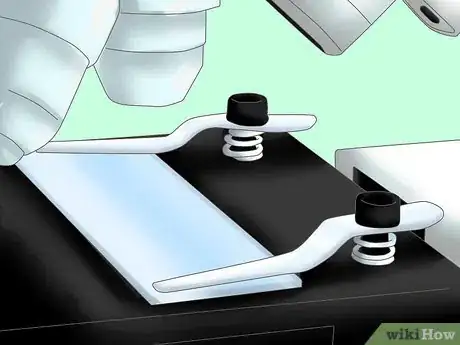 Image titled Tell the Difference Between Prokaryotes and Eukaryotes Step 2