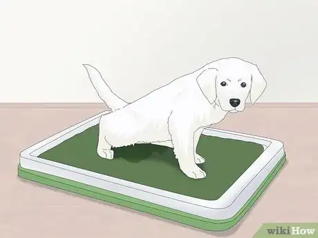 Image titled Get Your Puppy to Stop Biting Step 8