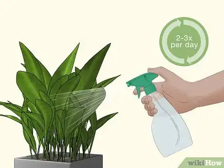 Image titled Prevent Spider Mites on Houseplants Step 3