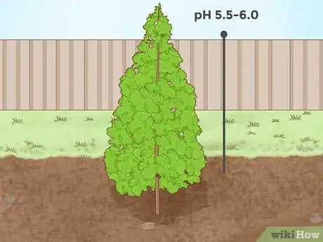 Image titled Lower Soil pH Step 14