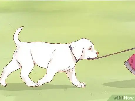 Image titled Take Care of a Labrador Puppy Step 13