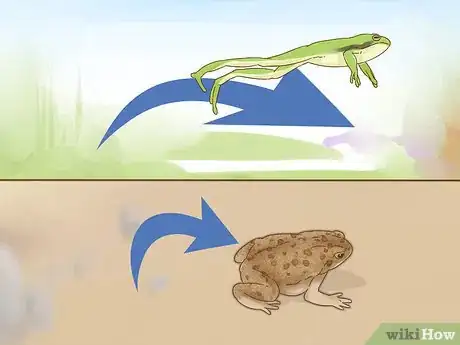 Image titled Tell the Difference Between a Frog and a Toad Step 6