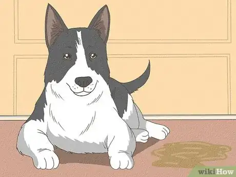 Image titled Know When Your Dog is Sick Step 13