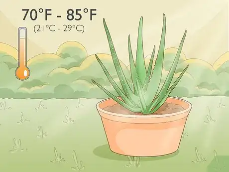 Image titled Force Bloom on Aloe Vera Step 3