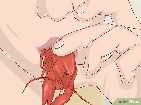 Image titled Eat a Crawfish Step 2