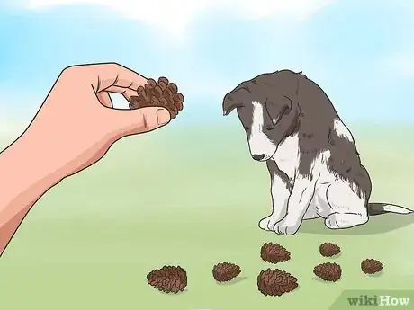 Image titled Stop Your Dog from Eating Your Plants Step 9