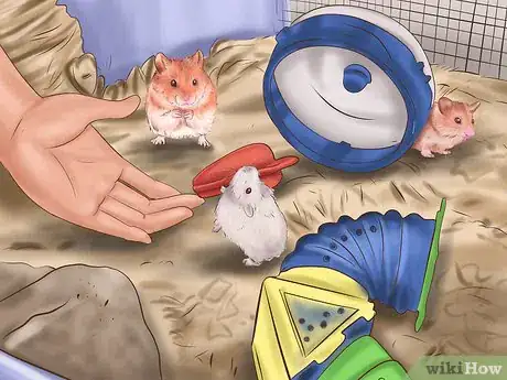 Image titled Play With a Hamster Step 3